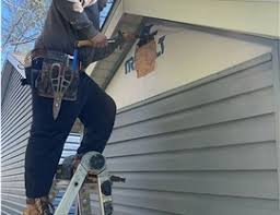 Best Siding Painting and Refinishing  in Madison, SD